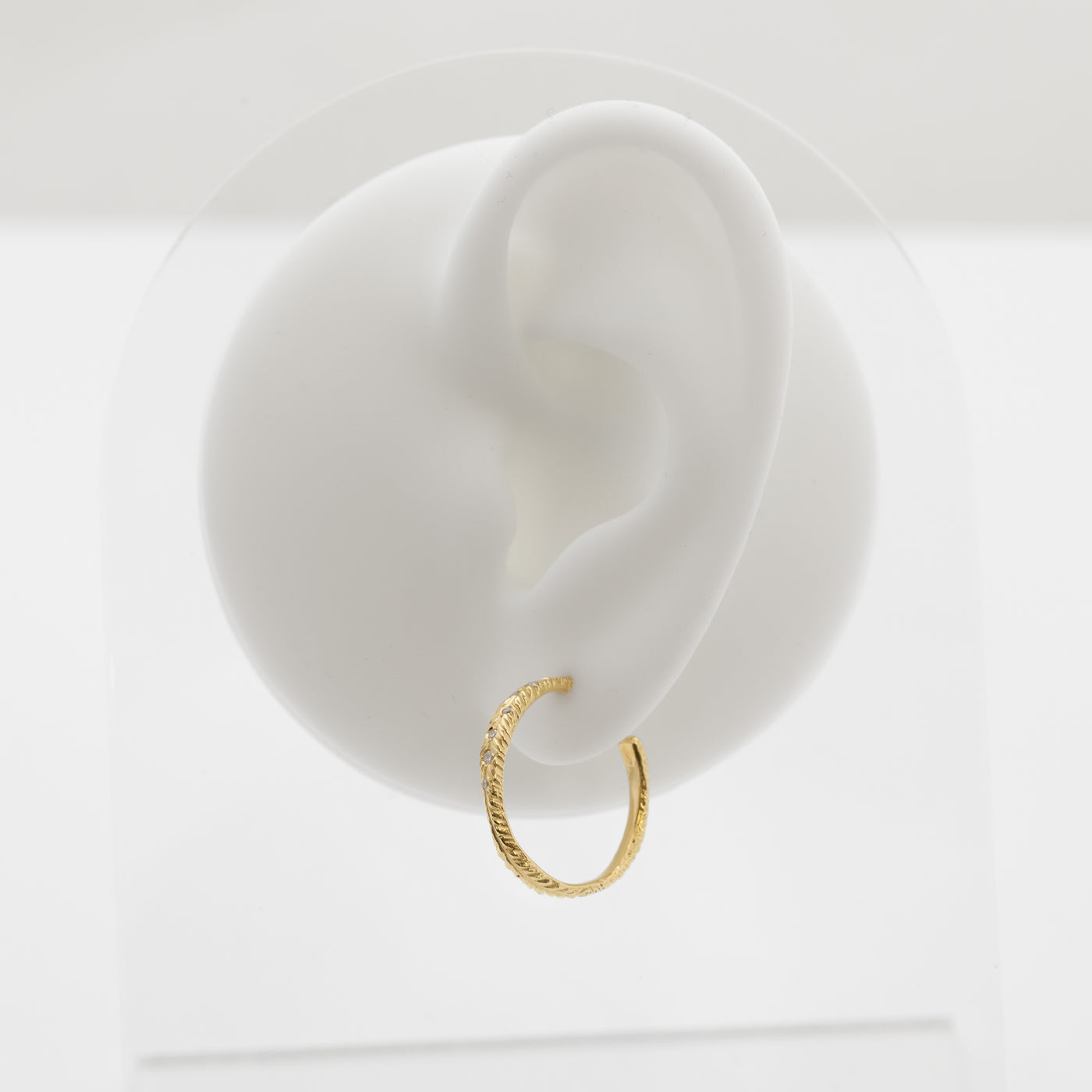 Gold hoop earring on a white ear model with a white background