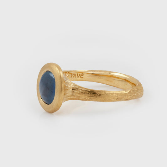 Side view of yellow gold ring featuring an oval blue Star Sapphire center stone with a textured band. Word on side reads PAVE. Ring photographed on a white background