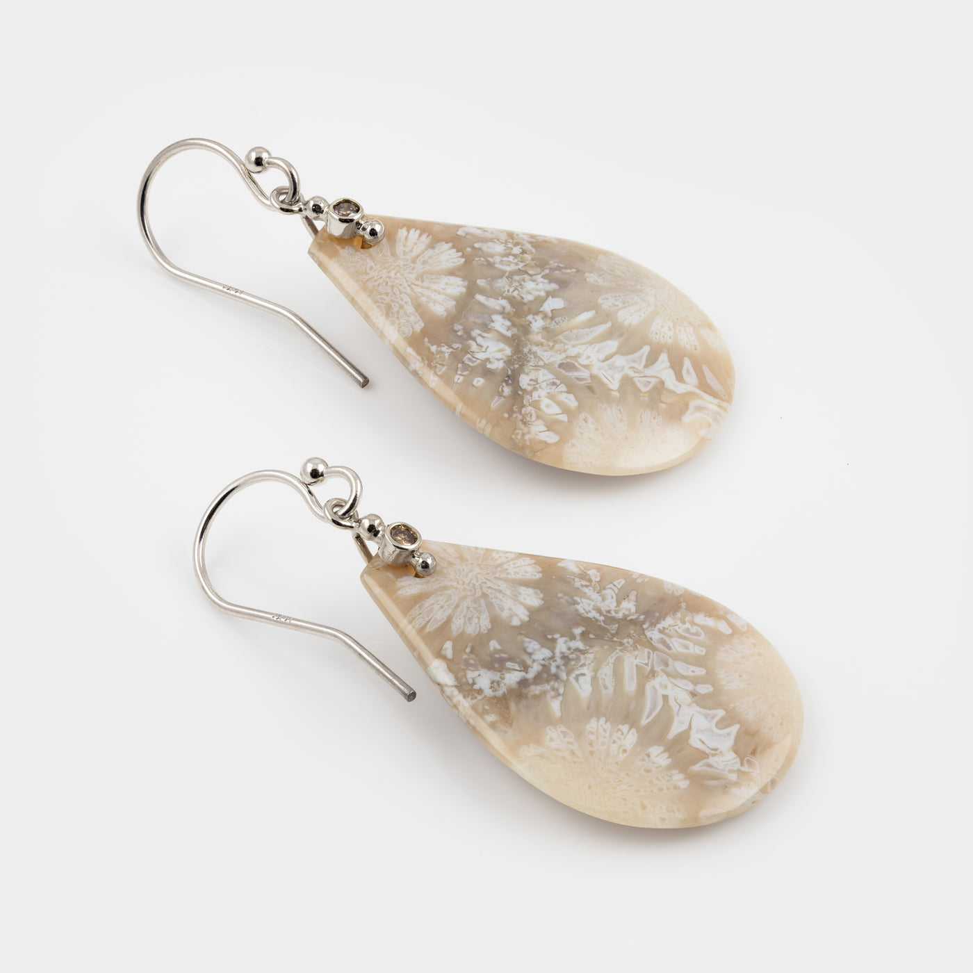 White toned coral fossil earrings with white gold ear wires on a white background
