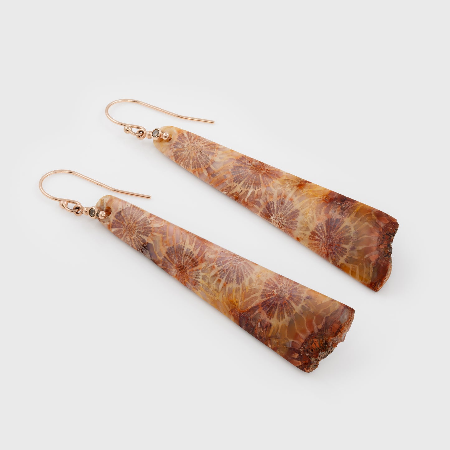 Pair of coral fossil earrings on a white background