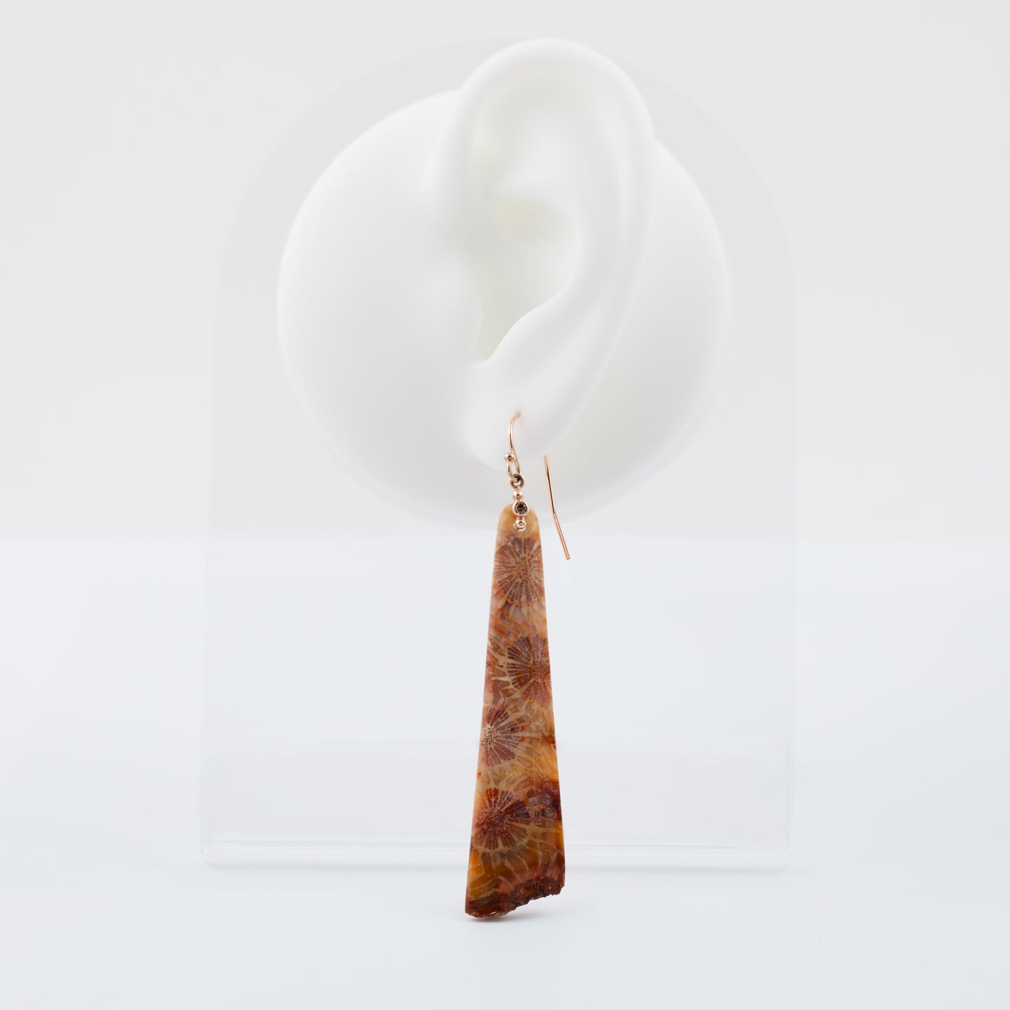 Long coral fossil earring on a white ear model with a white background