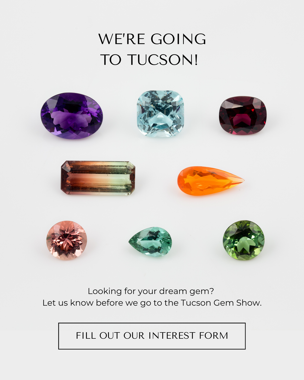 Image: Eight gemstones arranged on a white background. Text: WE'RE GOING TO TUCSON! Looking for your dream gem? Let us know before we go to the Tucson Gem Show. [FILL OUT OUR INTEREST FORM] button.