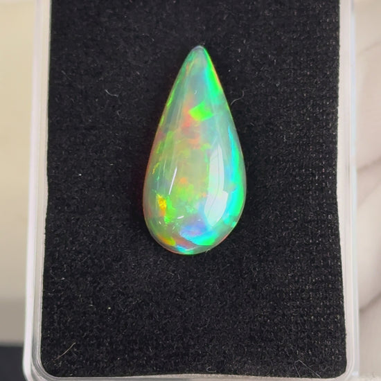 Opal being held in display box with gloved hands