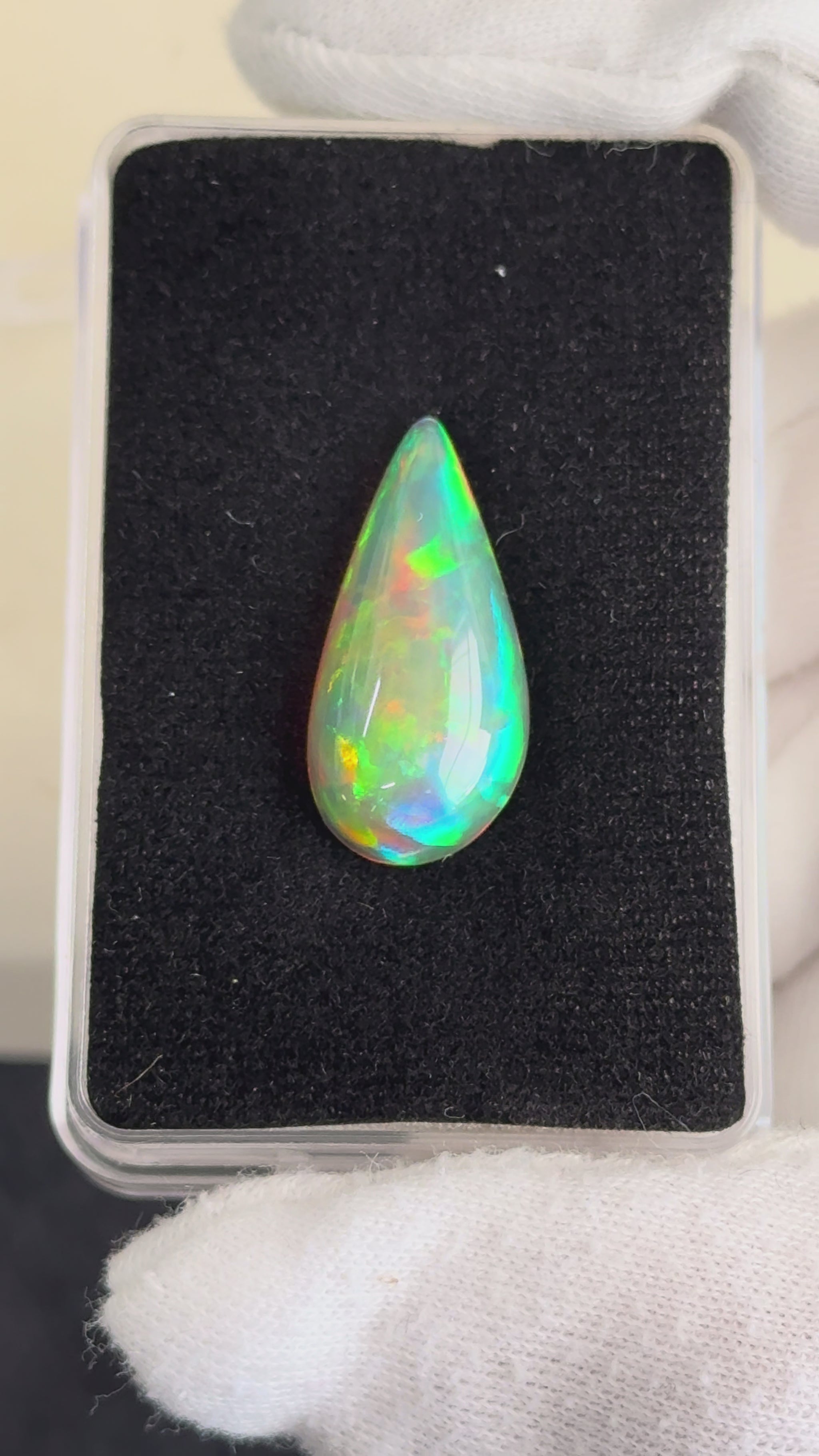 Opal being held in display box with gloved hands