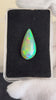Opal being held in display box with gloved hands